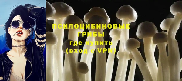PSILOCYBIN Абдулино