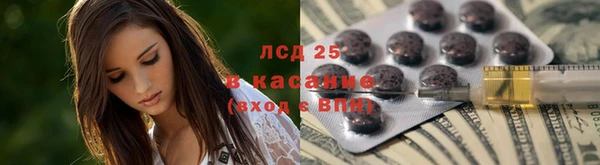PSILOCYBIN Абдулино