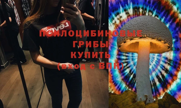 PSILOCYBIN Абдулино