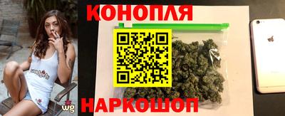 прущие грибы Обь