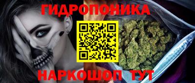 прущие грибы Обь