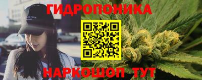 прущие грибы Обь