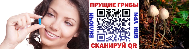 Псилоцибиновые грибы мухоморы  Тольятти 