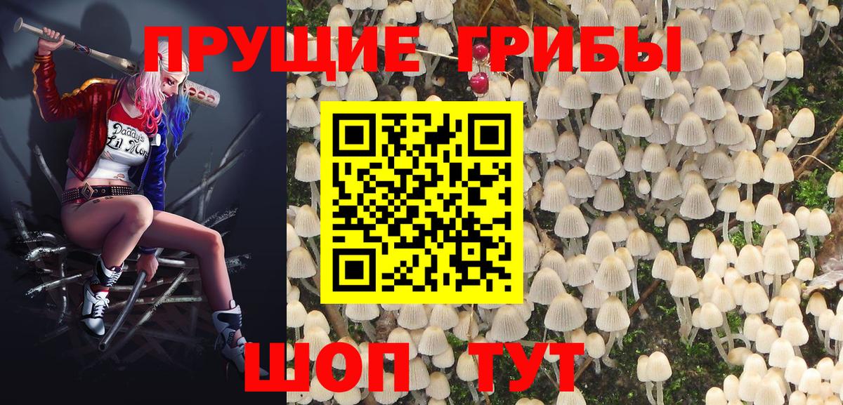 Галлюциногенные грибы прущие грибы Тольятти